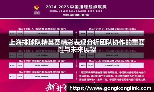 上海排球队精英赛精彩表现分析团队协作的重要性与未来展望